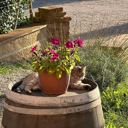 Fornace Del Conte Apartment Abbadia di Montepulciano Bagian luar foto
