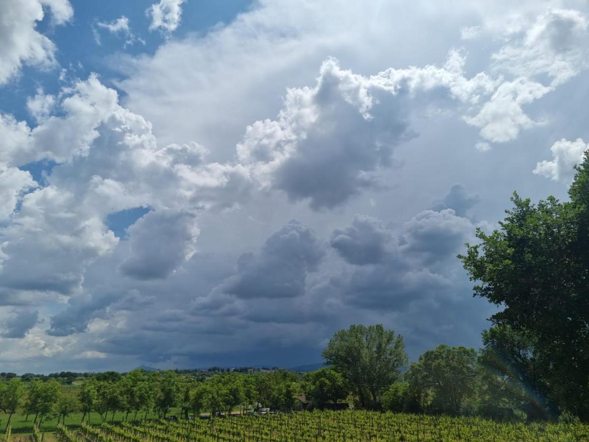 Fornace Del Conte Apartment Abbadia di Montepulciano Bagian luar foto