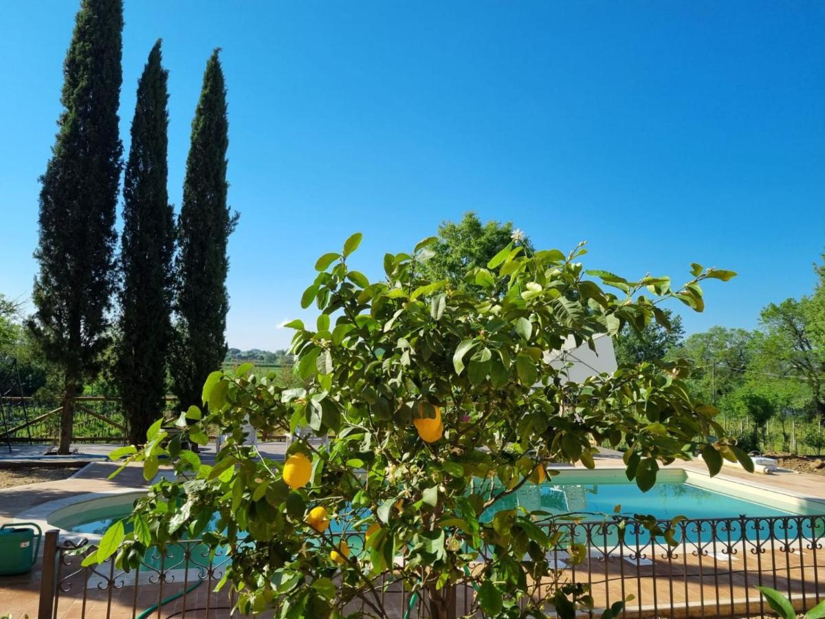 Fornace Del Conte Apartment Abbadia di Montepulciano Bagian luar foto