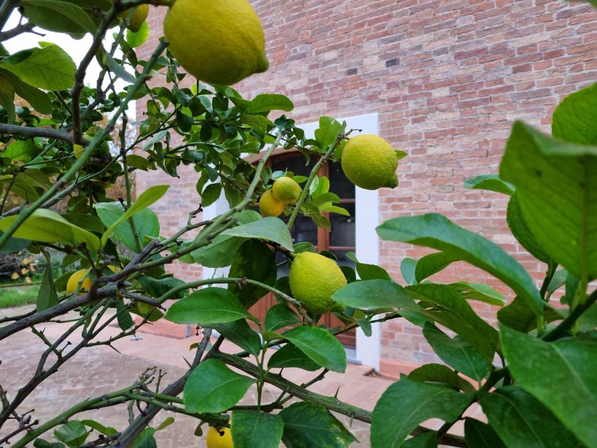 Fornace Del Conte Apartment Abbadia di Montepulciano Bagian luar foto
