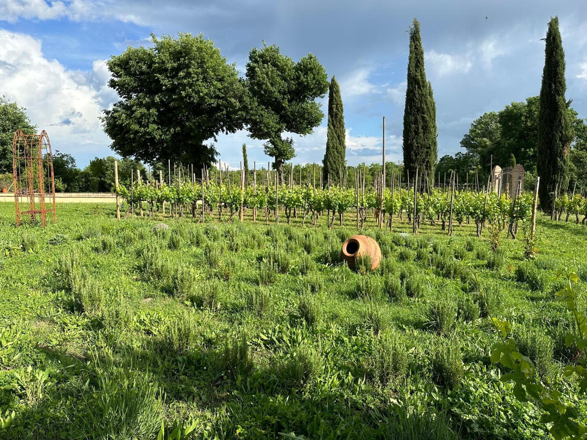 Fornace Del Conte Apartment Abbadia di Montepulciano Bagian luar foto