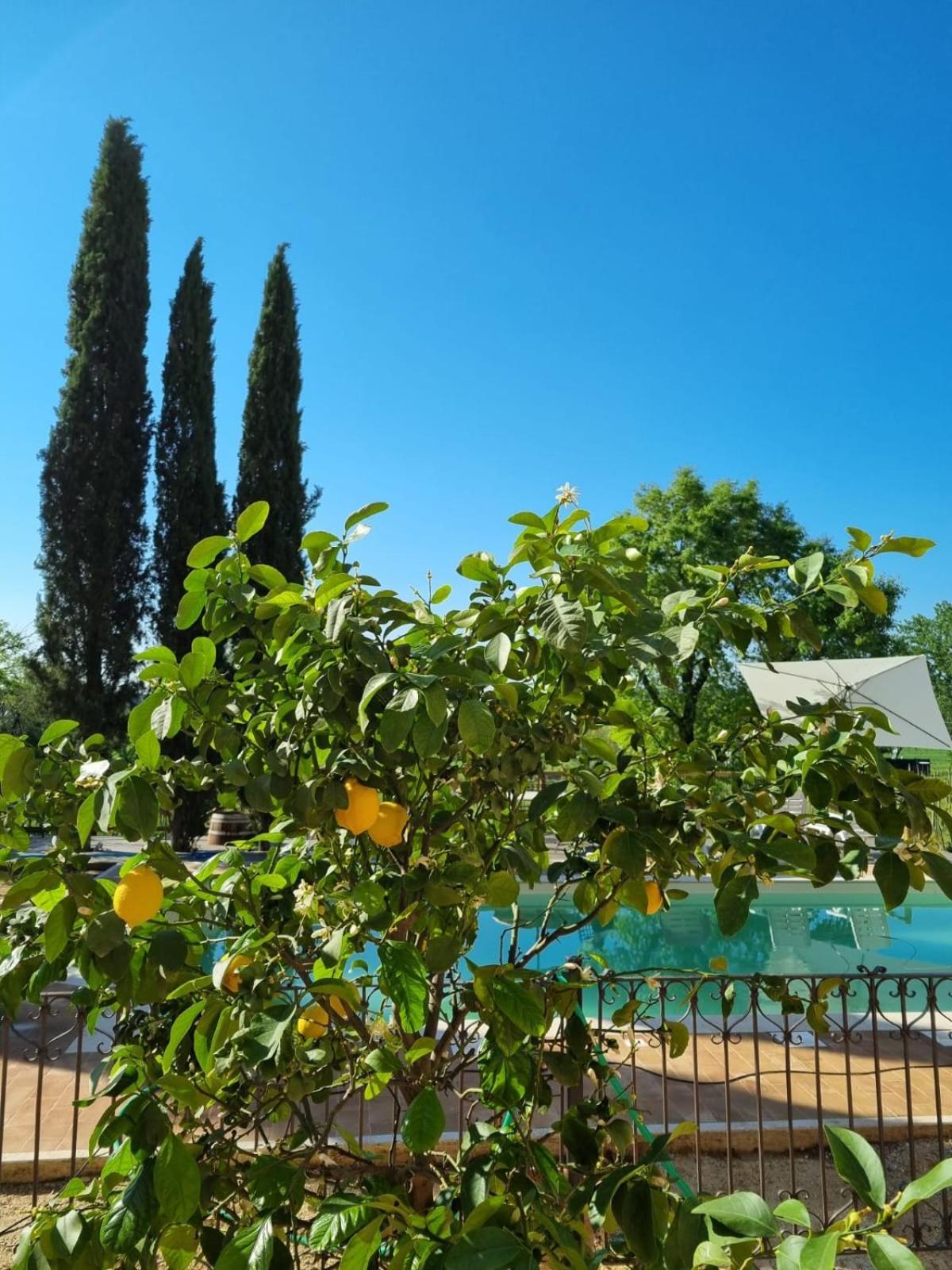 Fornace Del Conte Apartment Abbadia di Montepulciano Bagian luar foto